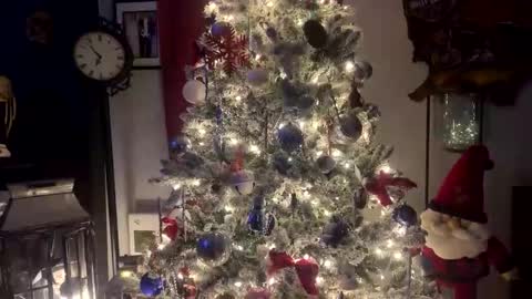 Snapshot of tommybones4l93 chatting on 12/18/25, 02:06 tommybones4l93 online show from 12/18/25, 02:06