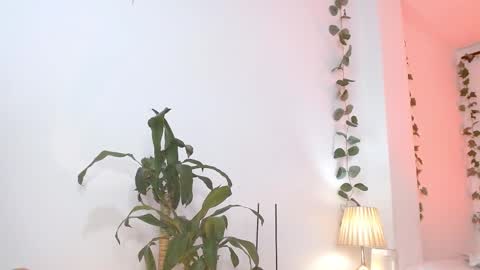 Tommy Foxboy online show from 03/05/25, 05:18