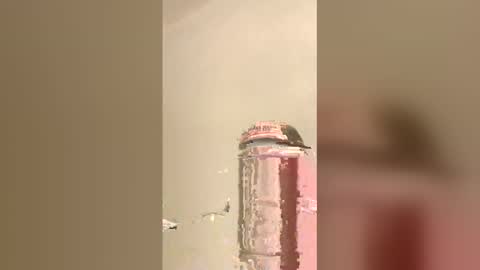 Snapshot of tommygun4969 chatting on 02/05/26, 12:37 tommygun4969 online show from 02/05/26, 12:37