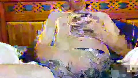 tomygolden online show from 11/28/25, 03:20