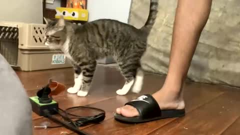 TopTierDrippa online show from 03/03/26, 12:11