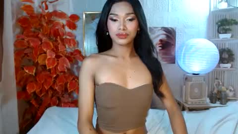 toptrans venice online show from 04/11/26, 07:13