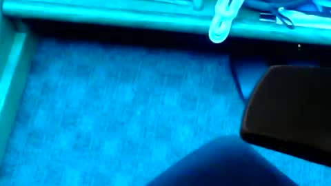 tornne online show from 02/02/25, 01:19