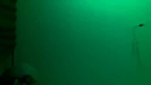 Snapshot of torrero_german chatting on 11/23/25, 03:17 MisterXxX online show from 11/23/25, 03:17