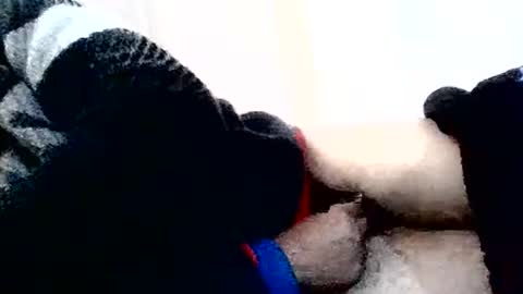 Snapshot of torresurionasantos chatting on 02/02/26, 05:22 torresurionasantos online show from 02/02/26, 05:22