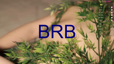 Toshi online show from 12/20/24, 04:14