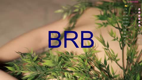 Toshi online show from 01/27/25, 04:11