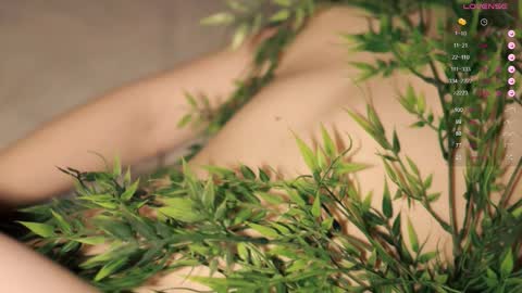 Toshi online show from 09/17/25, 01:02