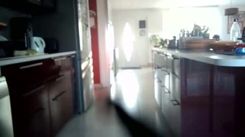 toutim6163 online show from 09/30/25, 07:02