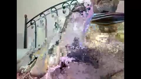 Snapshot of tra649167 chatting on 12/23/24, 09:40 tra649167 online show from 12/23/24, 09:40