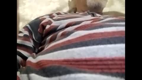 Snapshot of tra649167 chatting on 02/09/25, 08:02 tra649167 online show from 02/09/25, 08:02