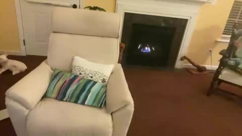 Snapshot of trannytush69 chatting on 01/11/25, 03:55 USA GURL online show from 01/11/25, 03:55