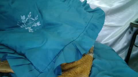 transexdotada online show from 10/23/25, 05:12