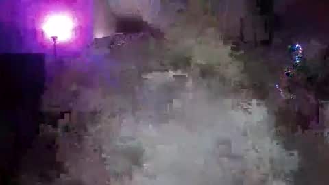 Snapshot of transgirl005 chatting on 11/10/25, 10:03 transgirl005 online show from 11/10/25, 10:03