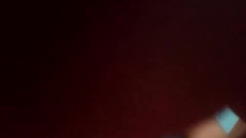 Snapshot of transmerrymae chatting on 05/04/26, 06:48 ARA CASTRO online show from 05/04/26, 06:48