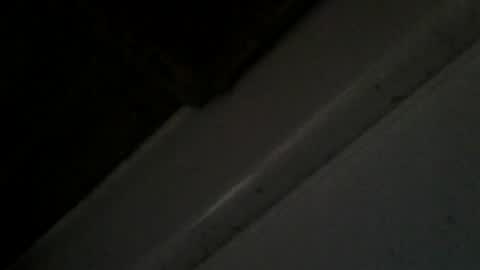 transyfansy online show from 07/23/26, 07:17