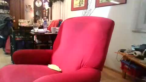 trebgeis1 online show from 01/06/26, 09:18