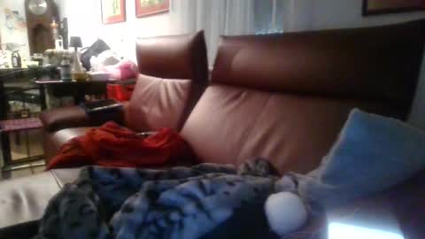 trebgeis1 online show from 04/19/26, 03:39