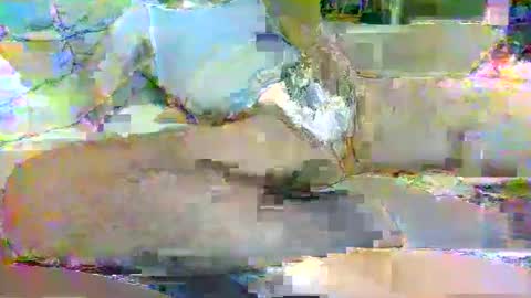 Snapshot of tree33007 chatting on 11/03/25, 06:25 tree33007 online show from 11/03/25, 06:25