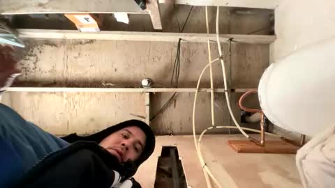 trees559 online show from 03/02/26, 04:47