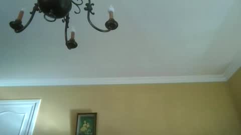 trekbeestje online show from 04/08/26, 07:52