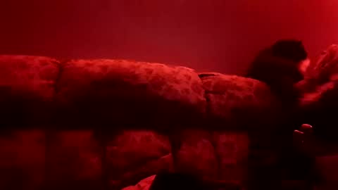 tretrix5588 online show from 01/03/25, 10:09