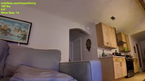 Snapshot of treyanthony chatting on 01/07/25, 12:24 decentanthony online show from 01/07/25, 12:24