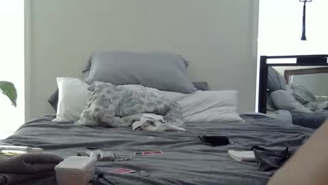 trickquestion online show from 02/19/26, 08:49