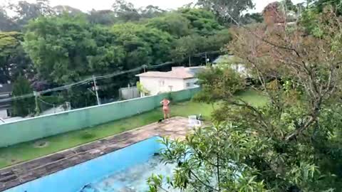 Snapshot of trigood chatting on 11/28/25, 09:17 trigood online show from 11/28/25, 09:17