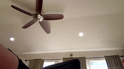 trillnonymau5 online show from 12/21/24, 06:34