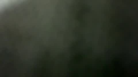 Snapshot of tripit1 chatting on 12/21/25, 08:43 tripit1 online show from 12/21/25, 08:43