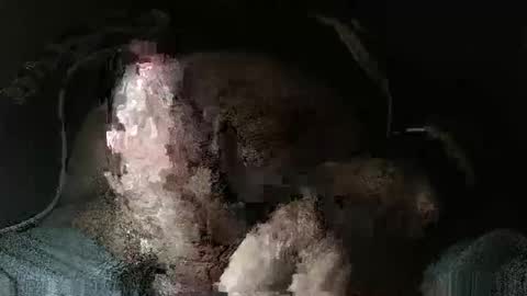 triponsex online show from 03/24/26, 09:42