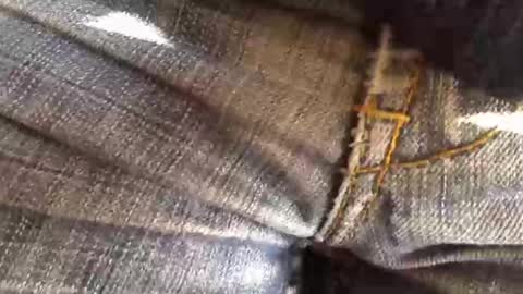 trobelle online show from 11/18/25, 11:36