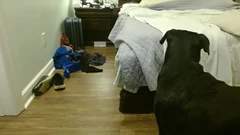 troy1965 online show from 09/29/25, 04:39