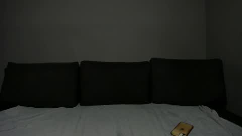 Snapshot of troy_bigtitan chatting on 12/17/25, 06:08 Troy online show from 12/17/25, 06:08