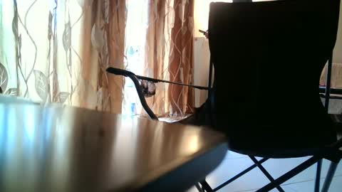 Snapshot of truble_again chatting on 05/18/26, 05:46 truble_again online show from 05/18/26, 05:46