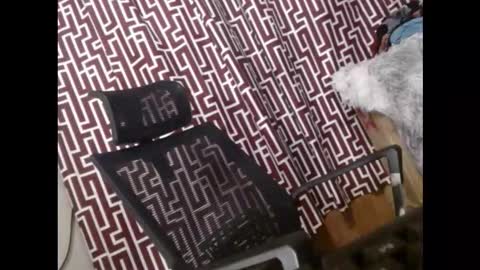 SARCY online show from 03/11/26, 11:33