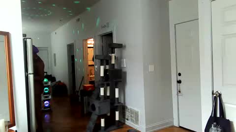 Snapshot of tsamberwhite007 chatting on 02/02/25, 07:46 Amber White online show from 02/02/25, 07:46