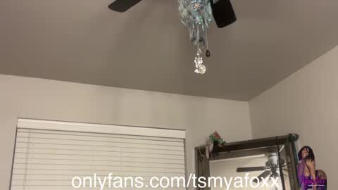 tsfoxx online show from 12/11/24, 12:34