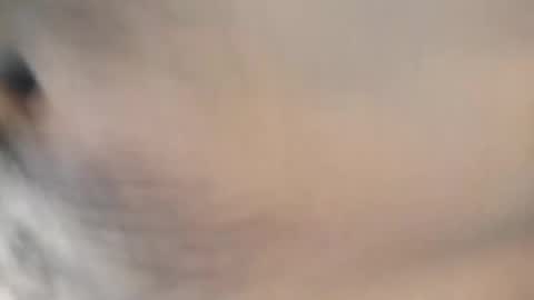 ttimmyt online show from 11/08/25, 08:07