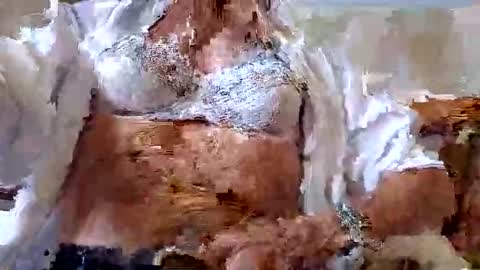 Snapshot of tubaist chatting on 09/09/25, 12:59 FINN but call me NANNA online show from 09/09/25, 12:59