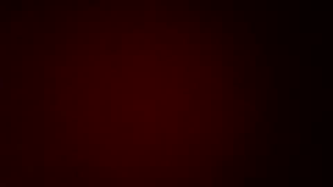 tudodom online show from 10/19/25, 11:16