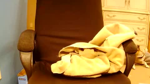 Turnmetrans online show from 03/17/26, 09:51