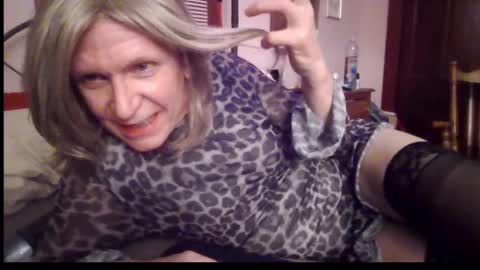 Kitten online show from 12/21/24, 02:52