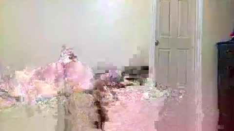 twinflamecaps online show from 04/09/26, 08:20