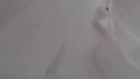TwinFlameDesire online show from 06/05/26, 12:33