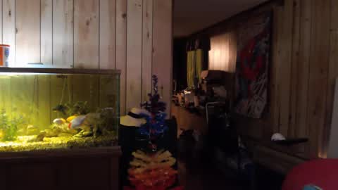 Snapshot of twocumkerry chatting on 02/13/25, 08:06 twocumkerry online show from 02/13/25, 08:06