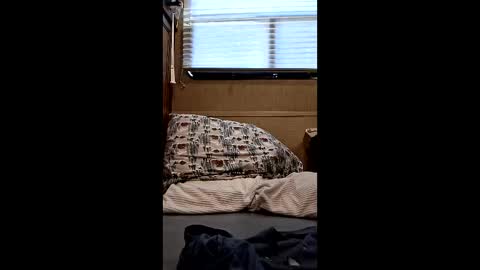 Snapshot of twp123 chatting on 03/10/26, 09:31 Matt online show from 03/10/26, 09:31