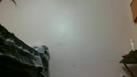 txbigd131369 online show from 01/29/25, 01:16