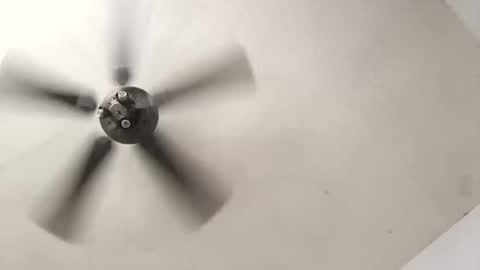 Aldo rasid online show from 10/19/25, 05:35